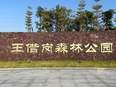 -王借岗森林公园