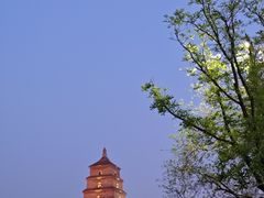 -大雁塔北广场音乐喷泉