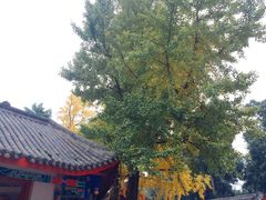 -金堂县云顶石城风景区