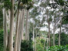 -广西壮族自治区药用植物园