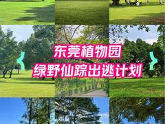 -东莞植物园
