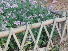 -白塘生态植物园