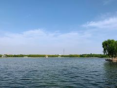 -大兴滨河森林公园