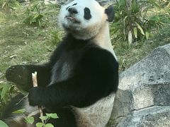 -武汉动物园