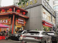 -新概念来凤鱼(璧山店)