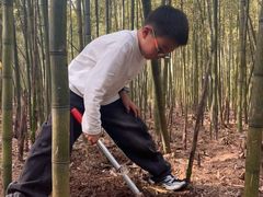-同里国家湿地公园