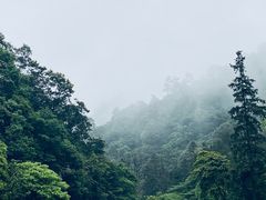 -姑婆山旅游区