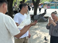 -翰园碑林