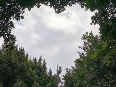 -仙岳公园