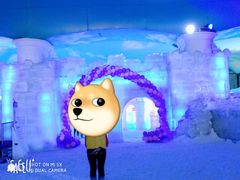 -世界之窗阿尔卑斯冰雪世界