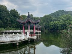 -青龙山国家森林公园