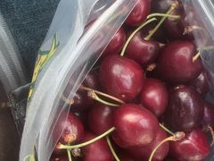 -鲜力达果品批发直销(青山店)