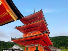 -有栖山 清光院 清水寺