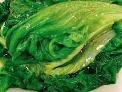 蚝油西生菜-陈光记烧腊店(罗保博士街店)