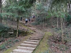 -上海佘山国家森林公园天马山园