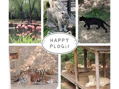 -石家庄市动物园