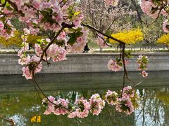-元大都城垣遗址公园