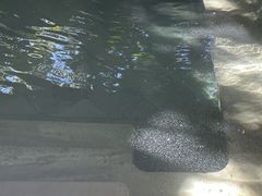 -和顺柏联温泉