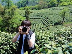 -十八棵（老龙井）御茶园(老龙井店)