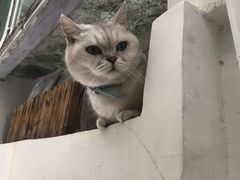 -小时光咖啡馆(北锣鼓巷店)