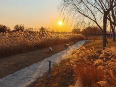 -元大都城垣遗址公园