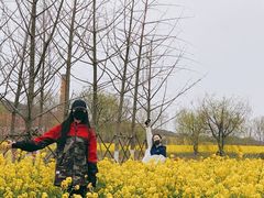-西海岸生态观光园