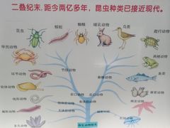 -上海昆虫博物馆