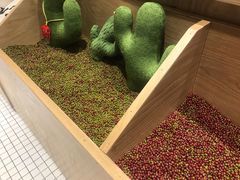 -炖物24章·顺时轻养茶(杭州保利时光里店)