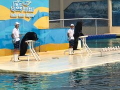 -秦皇岛乐岛海洋王国