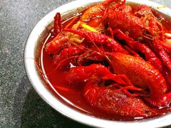 麻辣小龙虾-辣盆盆麻辣小龙虾(哈尔滨总店)