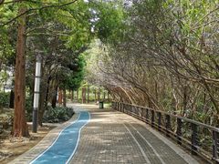 -苏州河梦清园环保主题公园