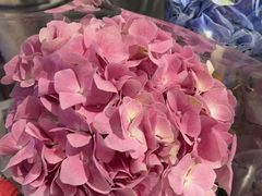-盒马鲜生(双清路店)
