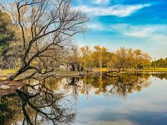 -上海共青森林公园