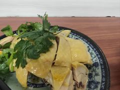 -九斤黄三黄鸡专卖店