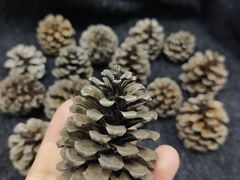 -中国移动南方基地