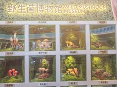 -芸山季·云南山珍菌火锅(南翔印象城MEGA店)