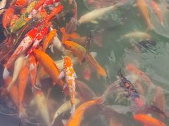 -千岛湖-欢乐水世界