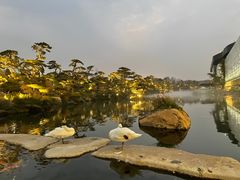 -罗红摄影艺术馆