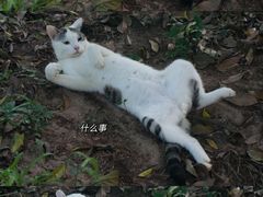 -广州珠江公园