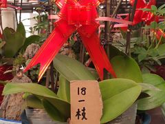 -李村大集