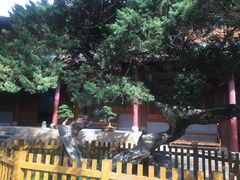 -普陀山风景名胜区-法雨禅寺