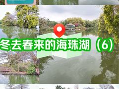 -海珠湖公园