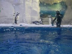 景点-华夏文旅海洋公园