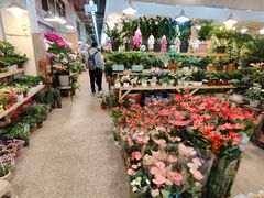 -双季花艺园艺市场(浦东店)