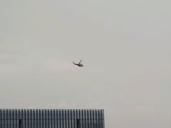 -华特·迪士尼音乐厅