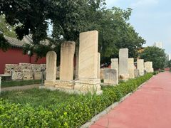 -药王庙(安国市)