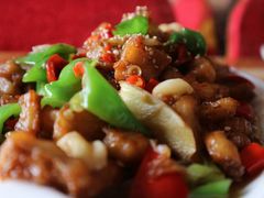 -煲来饱去冷水鱼
