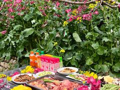 -桃源山庄·水蜜桃采摘·柴火鸡·烧烤团建(龙泉山店)