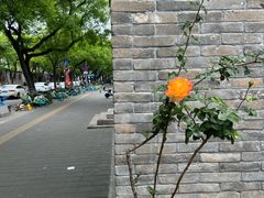 -隆福寺小吃店(东四店)