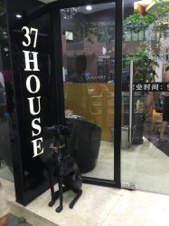 -37HOUSE